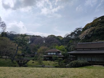 三溪園に投稿された画像（2022/4/7）