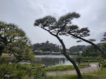 三溪園に投稿された画像（2022/4/7）