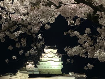 姫路城（イベント）に投稿された画像（2022/4/7）