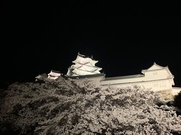 姫路城（イベント）に投稿された画像（2022/4/7）