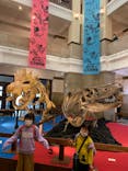 国立科学博物館　特別企画展「ポケモン化石博物館」に投稿された画像（2022/4/7）