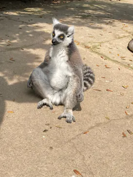 神戸どうぶつ王国に投稿された画像（2022/4/7）