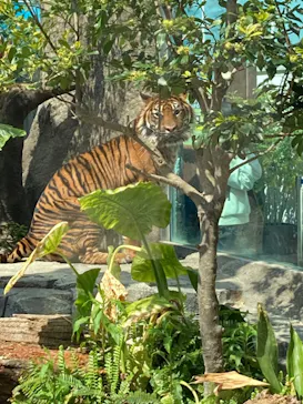 神戸どうぶつ王国に投稿された画像（2022/4/7）