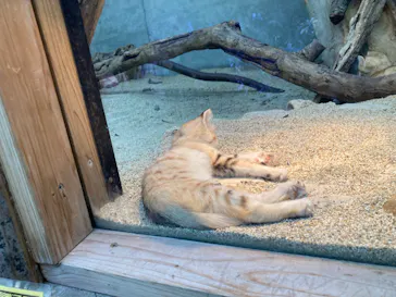 神戸どうぶつ王国に投稿された画像（2022/4/7）