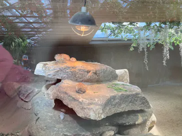 神戸どうぶつ王国に投稿された画像（2022/4/7）