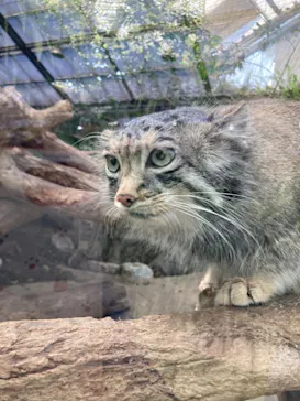 神戸どうぶつ王国に投稿された画像（2022/4/7）