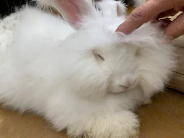 神戸どうぶつ王国に投稿された画像（2022/4/7）