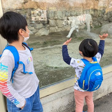 東武動物公園に投稿された画像（2022/4/7）