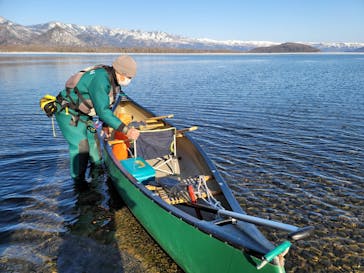 Matatabi（マタタビ）に投稿された画像（2022/4/7）