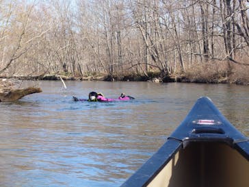 Matatabi（マタタビ）に投稿された画像（2022/4/7）