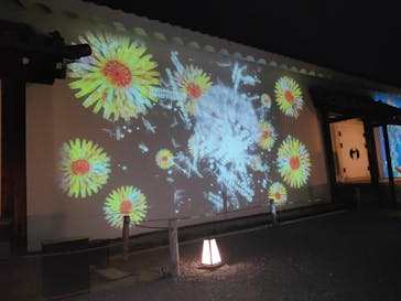 NAKED FLOWERS 2022 -桜- 世界遺産・二条城に投稿された画像（2022/4/7）