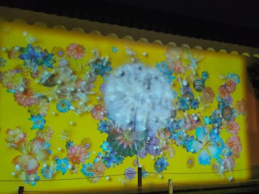 NAKED FLOWERS 2022 -桜- 世界遺産・二条城に投稿された画像（2022/4/7）