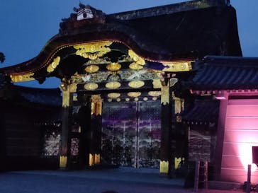 NAKED FLOWERS 2022 -桜- 世界遺産・二条城に投稿された画像（2022/4/7）