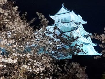 姫路城（イベント）に投稿された画像（2022/4/7）