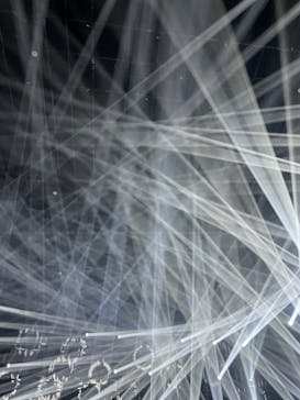 森ビル デジタルアート ミュージアム：エプソン チームラボボーダレスに投稿された画像（2022/4/7）