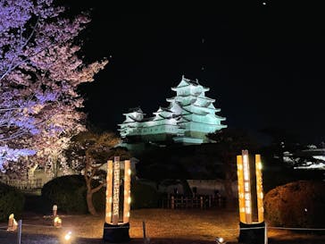 姫路城（イベント）に投稿された画像（2022/4/7）