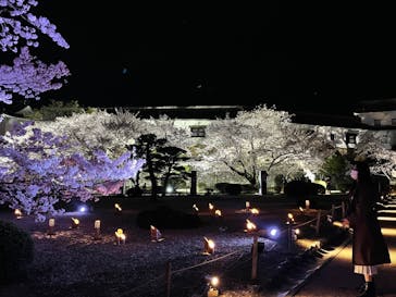 姫路城（イベント）に投稿された画像（2022/4/7）