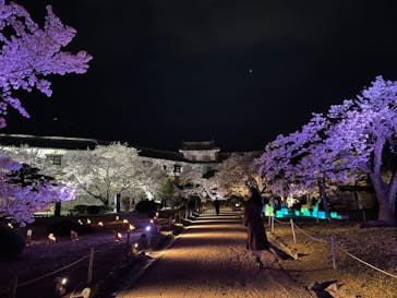 姫路城（イベント）に投稿された画像（2022/4/7）