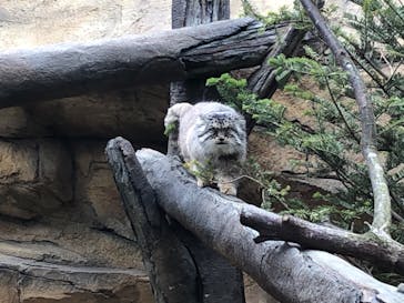 那須どうぶつ王国に投稿された画像（2022/4/7）