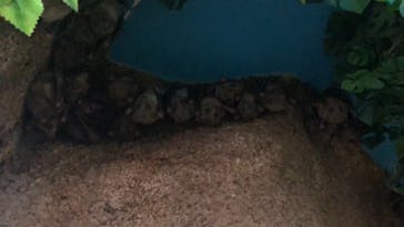 那須どうぶつ王国に投稿された画像（2022/4/7）