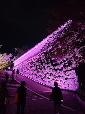 姫路城（イベント）に投稿された画像（2022/4/7）