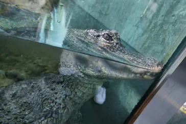 天王寺動物園に投稿された画像（2022/4/7）