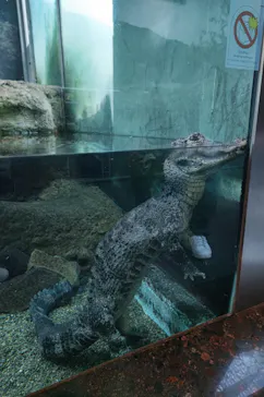 天王寺動物園に投稿された画像（2022/4/7）