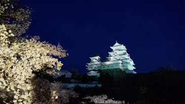 姫路城（イベント）に投稿された画像（2022/4/7）