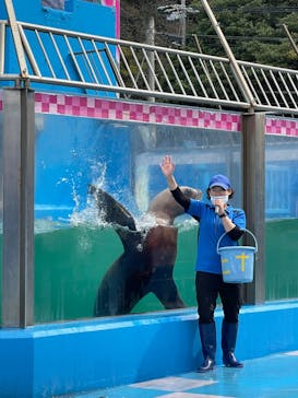 ゼロ距離水族館 伊勢シーパラダイスに投稿された画像（2022/4/7）