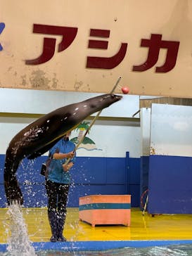ゼロ距離水族館 伊勢シーパラダイスに投稿された画像（2022/4/7）