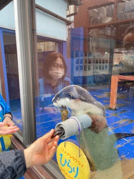 ゼロ距離水族館 伊勢シーパラダイスに投稿された画像（2022/4/7）