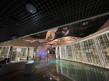 国立科学博物館に投稿された画像（2022/4/8）