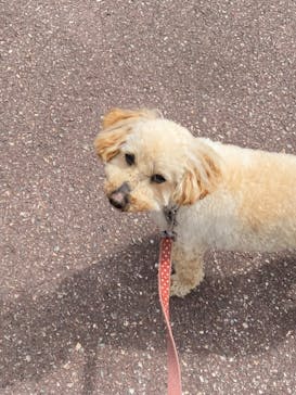 那須どうぶつ王国に投稿された画像（2022/4/8）