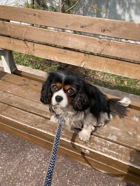 那須どうぶつ王国に投稿された画像（2022/4/8）