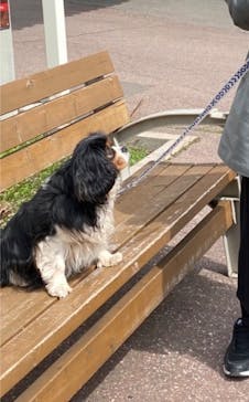 那須どうぶつ王国に投稿された画像（2022/4/8）