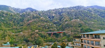 日帰り温泉湯の里おかだに投稿された画像（2022/4/8）