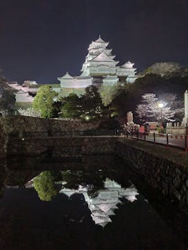 姫路城（イベント）に投稿された画像（2022/4/8）