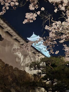 姫路城（イベント）に投稿された画像（2022/4/8）