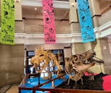 国立科学博物館　特別企画展「ポケモン化石博物館」に投稿された画像（2022/4/8）