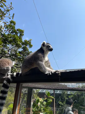 神戸どうぶつ王国に投稿された画像（2022/4/8）