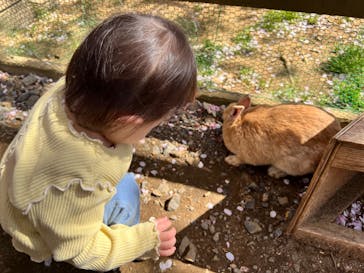 成田ゆめ牧場に投稿された画像（2022/4/8）