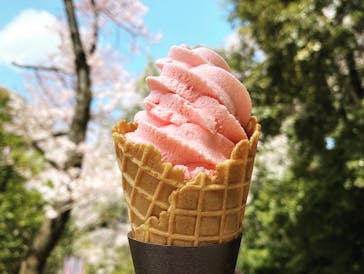 京阪電車に投稿された画像（2022/4/8）