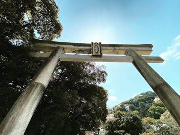 京阪電車に投稿された画像（2022/4/8）