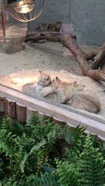 神戸どうぶつ王国に投稿された画像（2022/4/8）