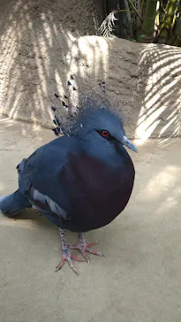 神戸どうぶつ王国に投稿された画像（2022/4/8）