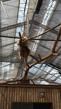 神戸どうぶつ王国に投稿された画像（2022/4/8）