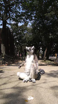 神戸どうぶつ王国に投稿された画像（2022/4/8）