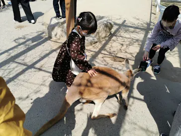 神戸どうぶつ王国に投稿された画像（2022/4/8）