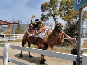 神戸どうぶつ王国に投稿された画像（2022/4/8）