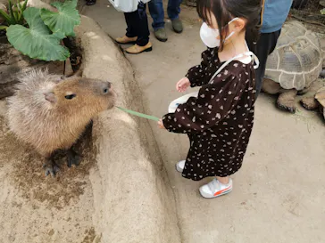 神戸どうぶつ王国に投稿された画像（2022/4/8）